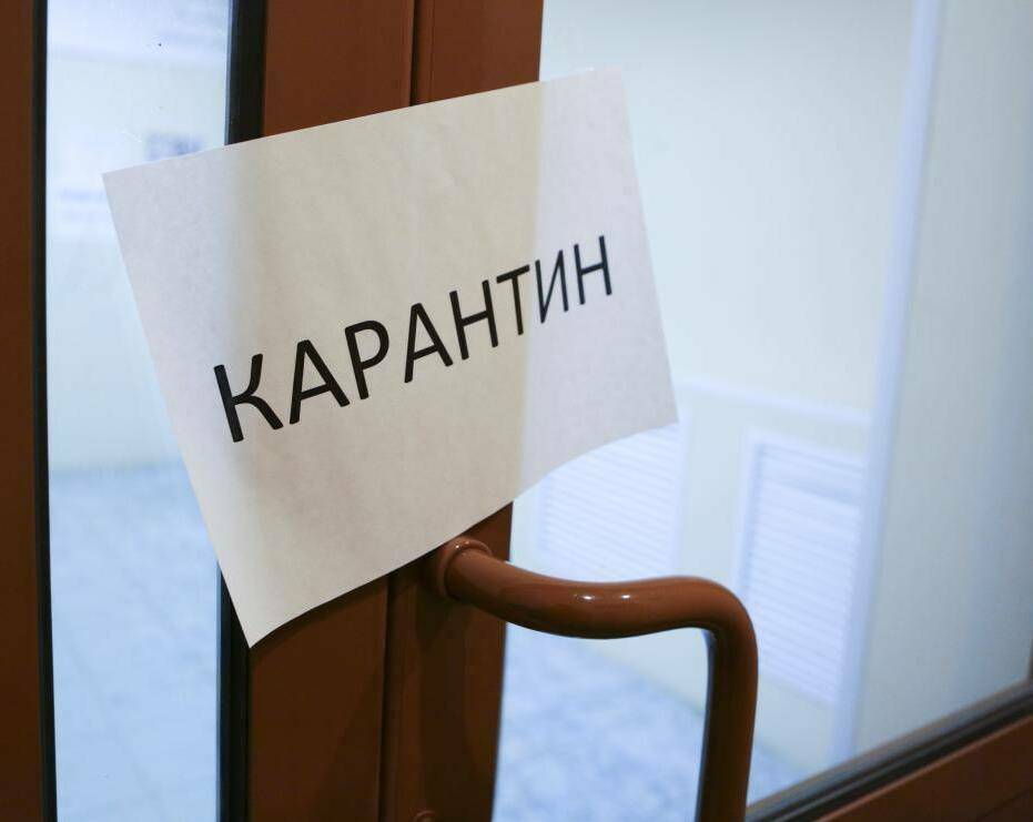 Описание изображения