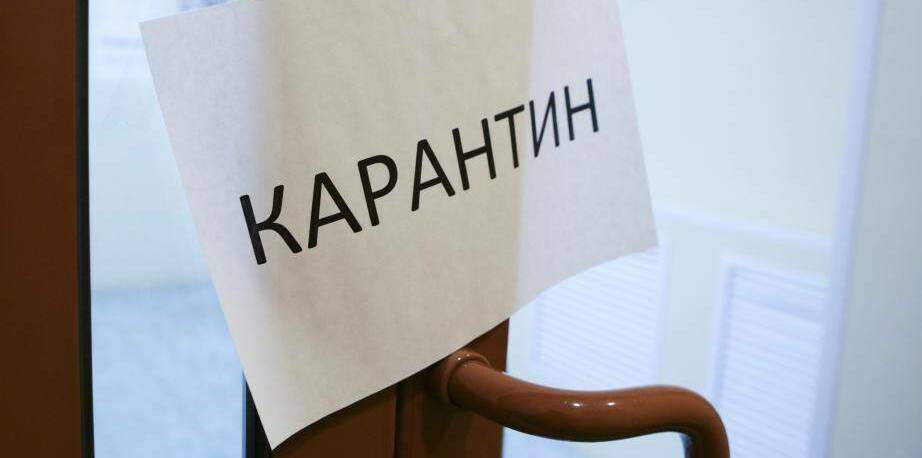 Описание изображения