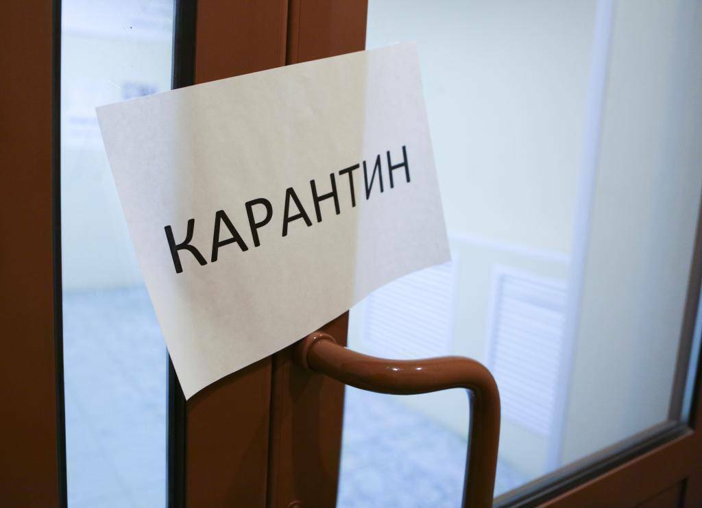 Описание изображения